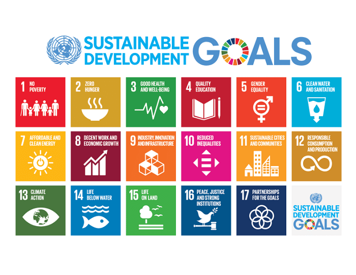 Graphic of the 17 SDGs developed by the UN