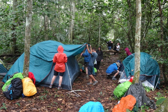 Setting up camp in the jungle