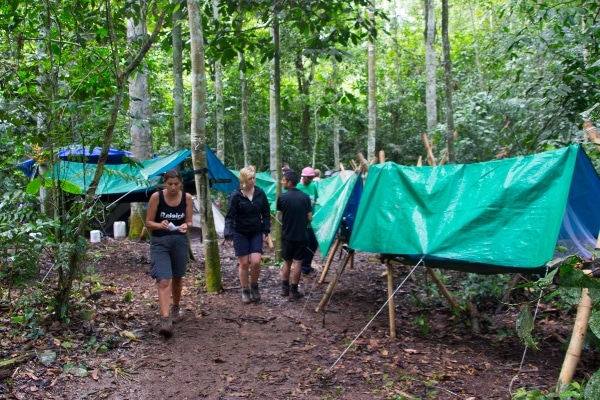 CRN 13G KW FB jungle camp alpha5-6091 600x400