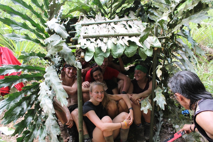 A jungle shelter