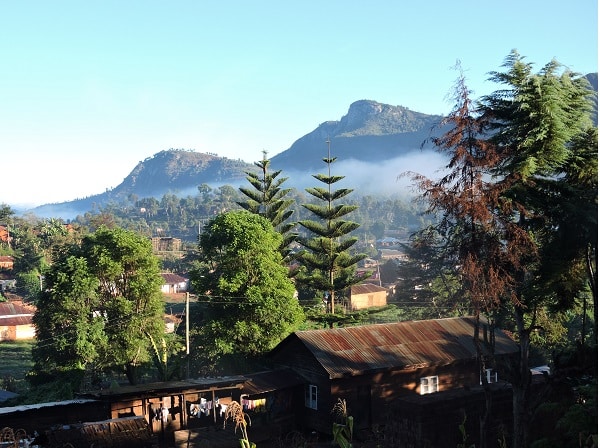 Usambara trek Phase 2