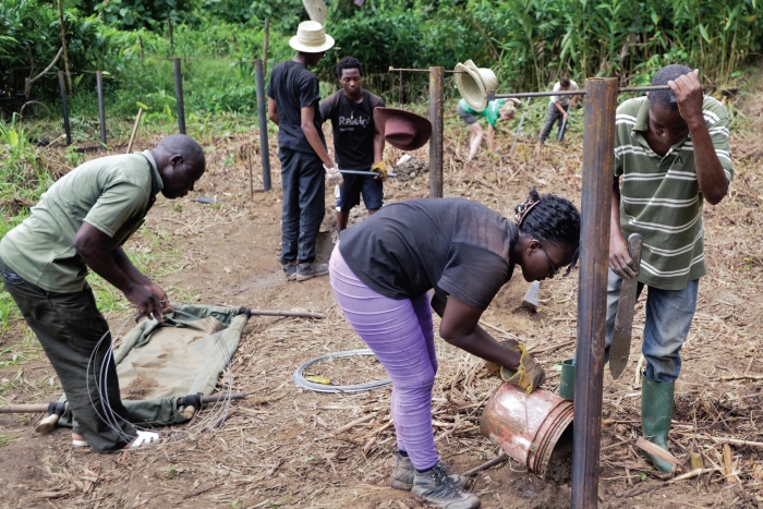 Raleigh Tanzania Society volunteers working to reduce human-elephant conflict