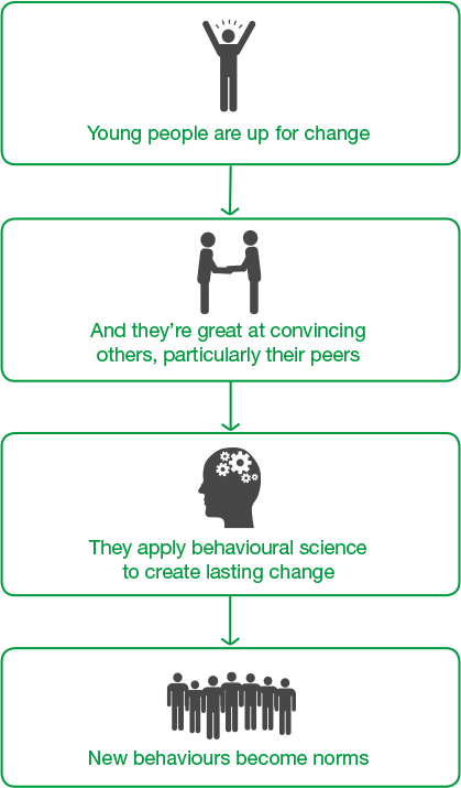 Diagram illustrating why we work with young people
