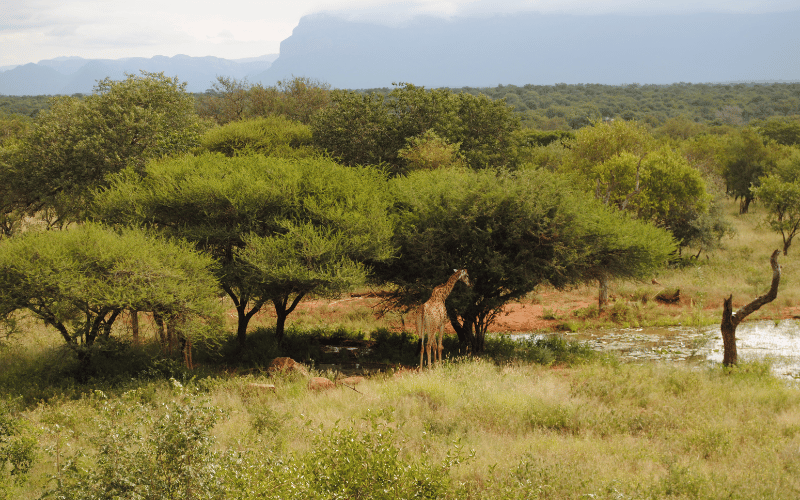 Raleigh International South Africa Expeditions