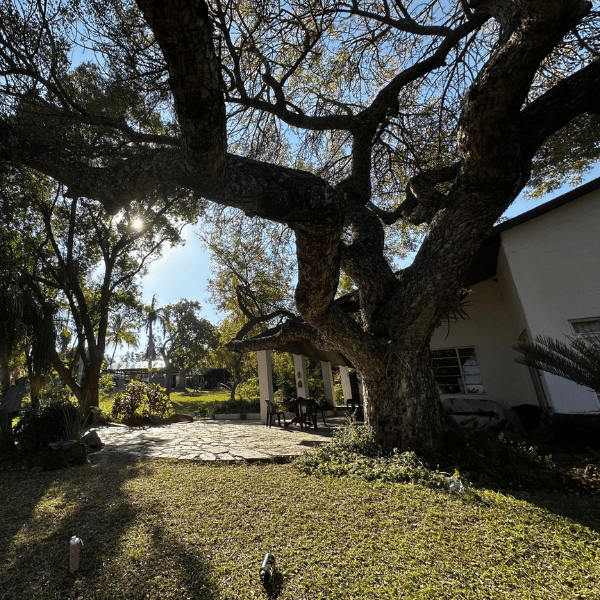 Fieldbase South Africa 1 Fieldbase South Africa building