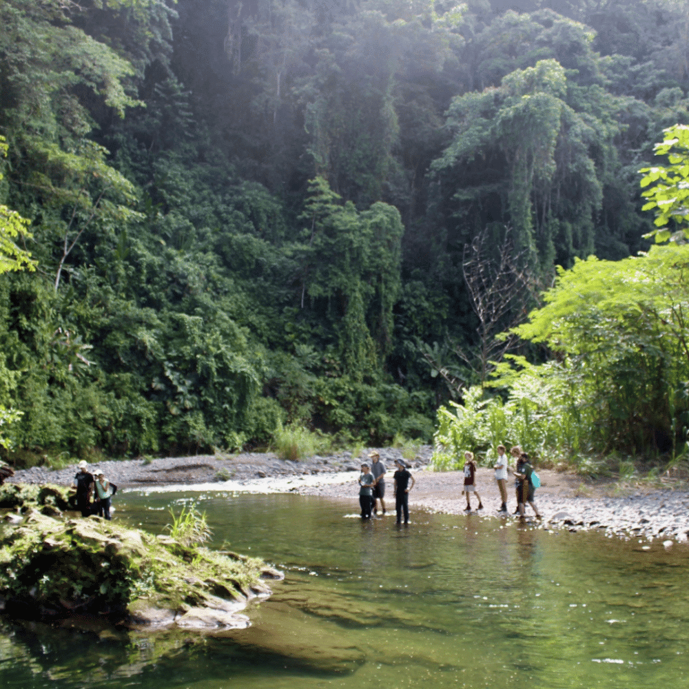Volunteer in Costa Rica - Raleigh International