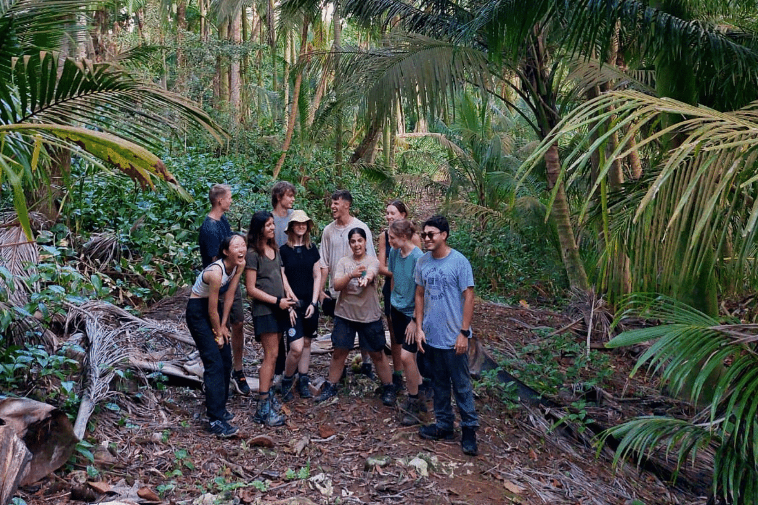 Volunteers in the rainforest