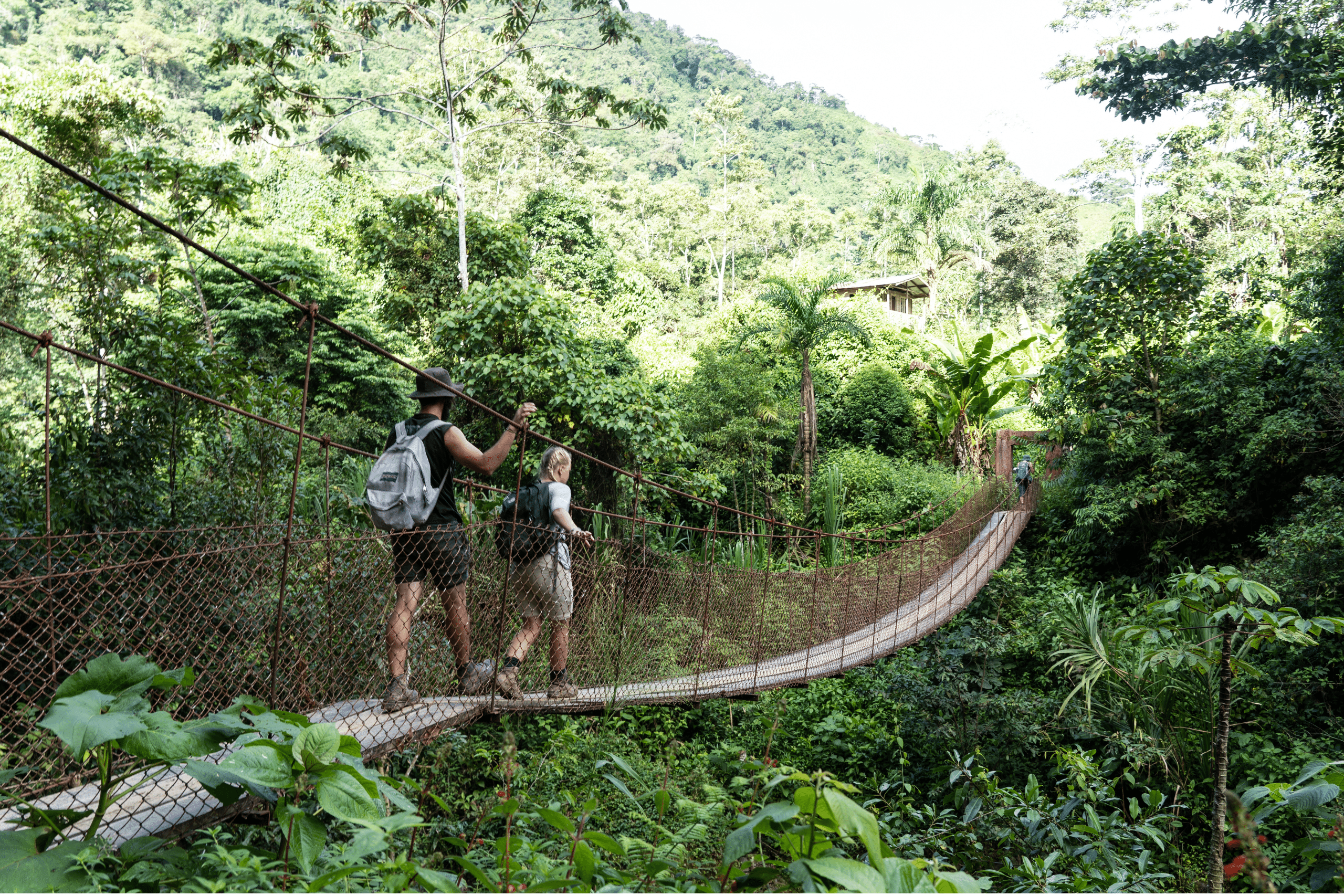 Volunteers trek in Costa Rica