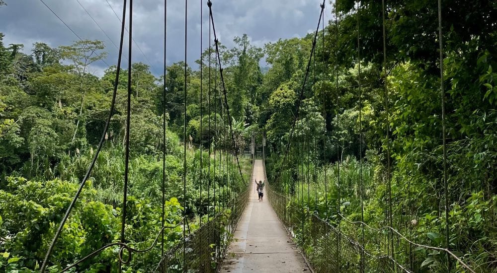a volunteer in a middle of a hanging bridge in Costa Rica