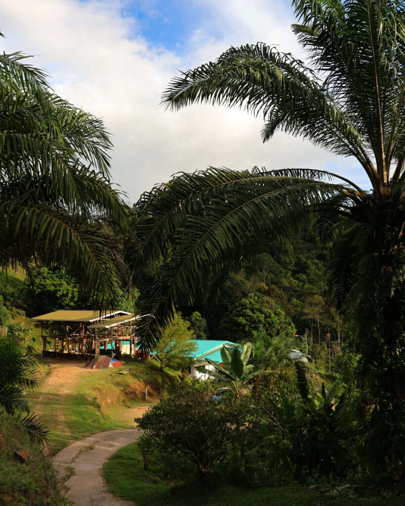 Raleigh Borneo village