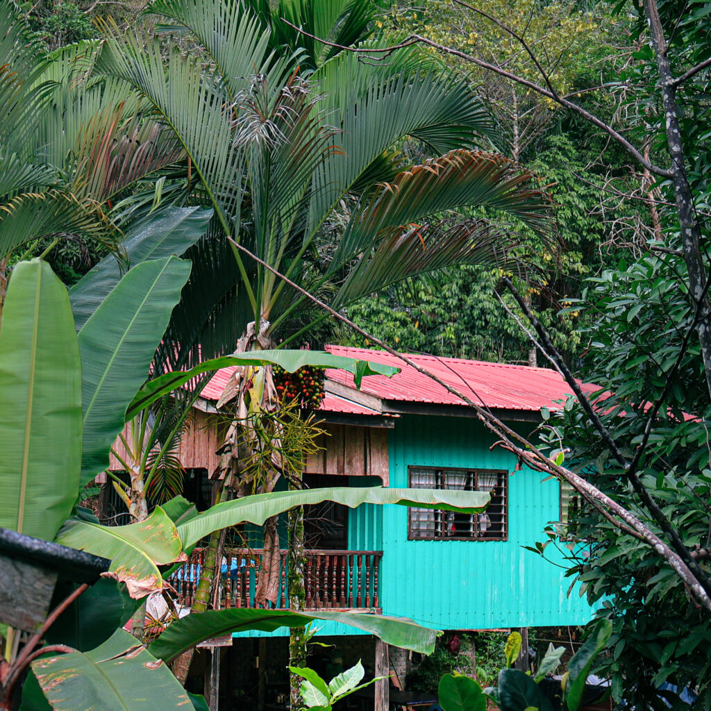 Village Raleigh Borneo