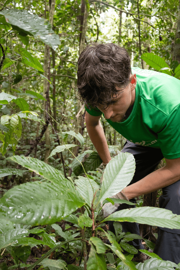 Tom working on Expedition in Borneo
