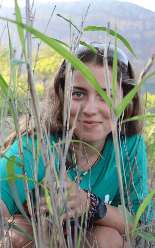 Raleigh South Africa Venturer looking through grasses