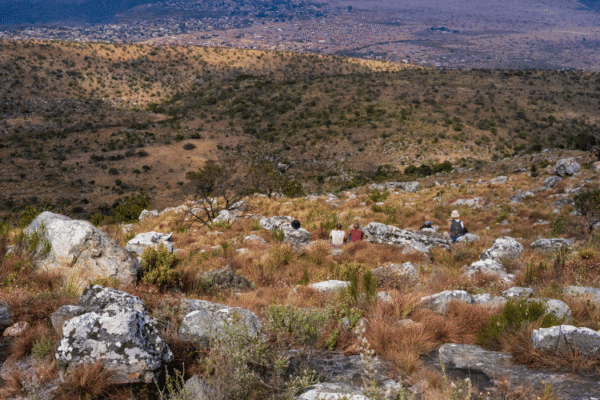Raleigh South Africa views out over bush Raleigh-South-Africa-views-out-over-bush