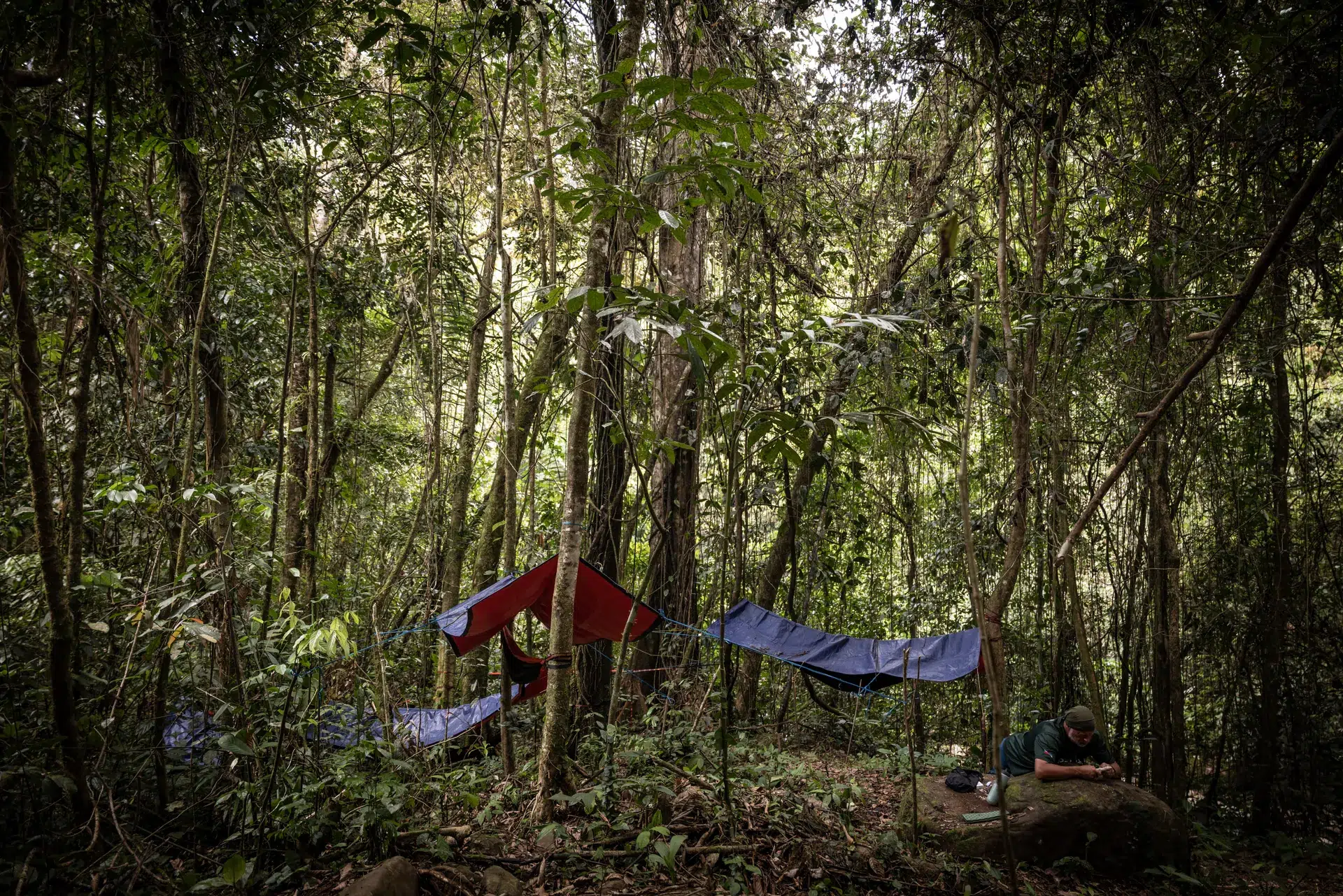 Raleigh Borneo_Jungle camp with hammocks and tarps