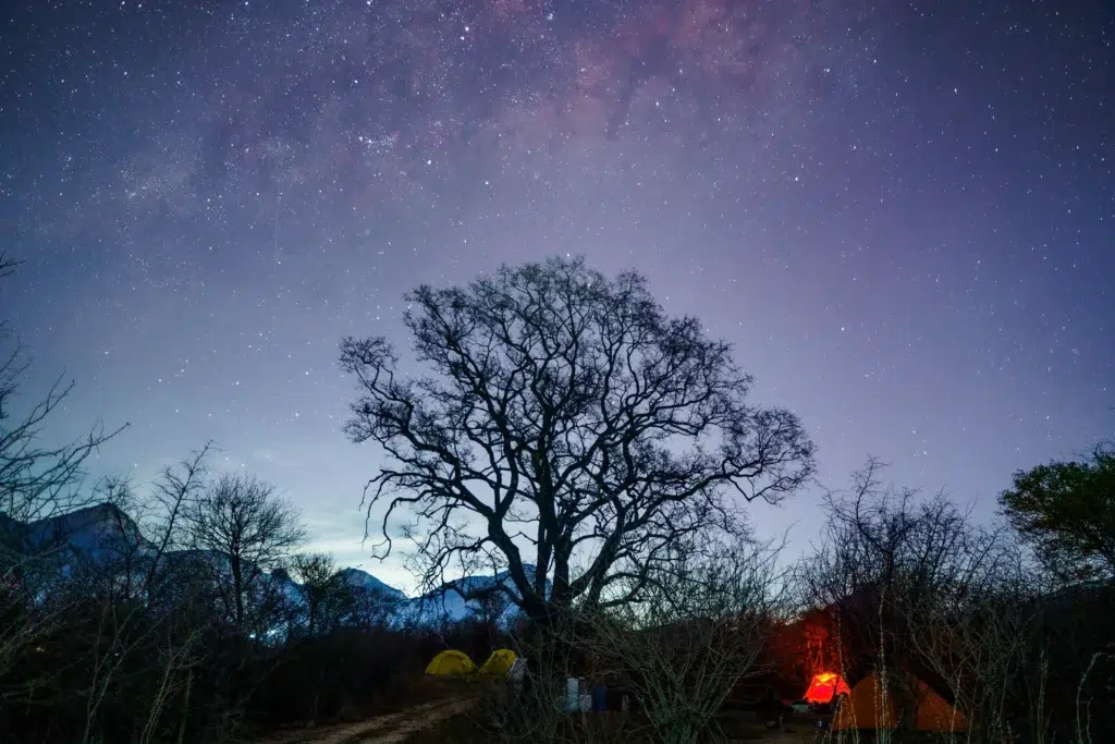 Raleigh South Africa_Stars Raleigh South Africa_Stars