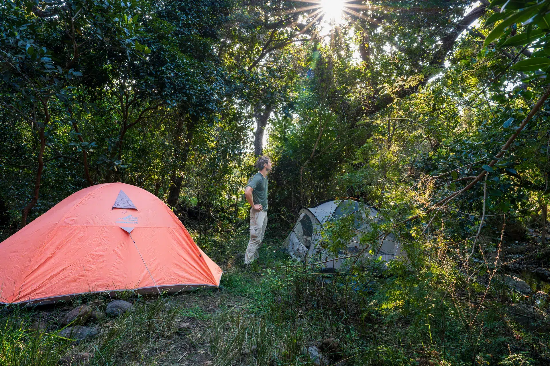Raleigh South Africa_Venturer by tents in sunlit forest camp